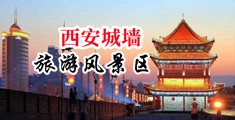 国产骚BBB骚BBB中国陕西-西安城墙旅游风景区